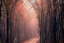 2021年欧洲杯赛程什么时候开始？